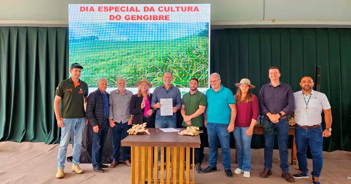 Gengibre Capixaba Investe em Inovação para Liderança Global