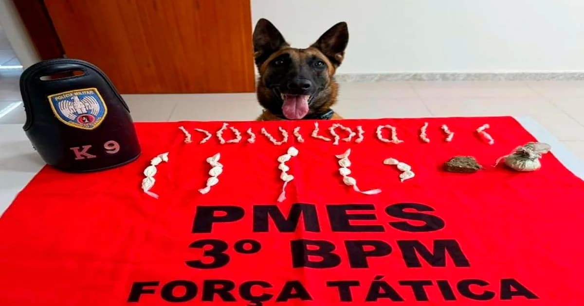 Operação K9 Desarticula Tráfico em Guaçuí