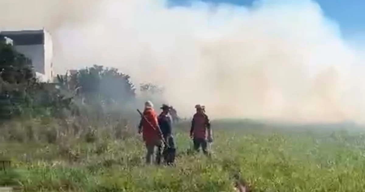 Incêndio de Grandes Proporções Devasta 65 Mil m² em Marataízes