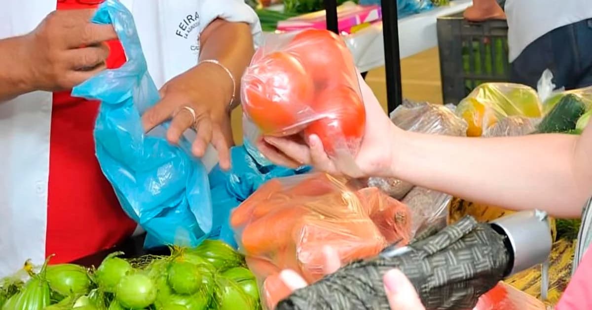 Feiras Livres de Cachoeiro: Pilar da Agricultura Familiar e Abastecimento Saudável