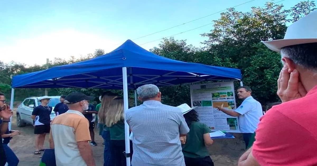 Dia de Campo em Jerônimo Monteiro destaca força da citricultura e impulsiona produção de laranja no Caparaó