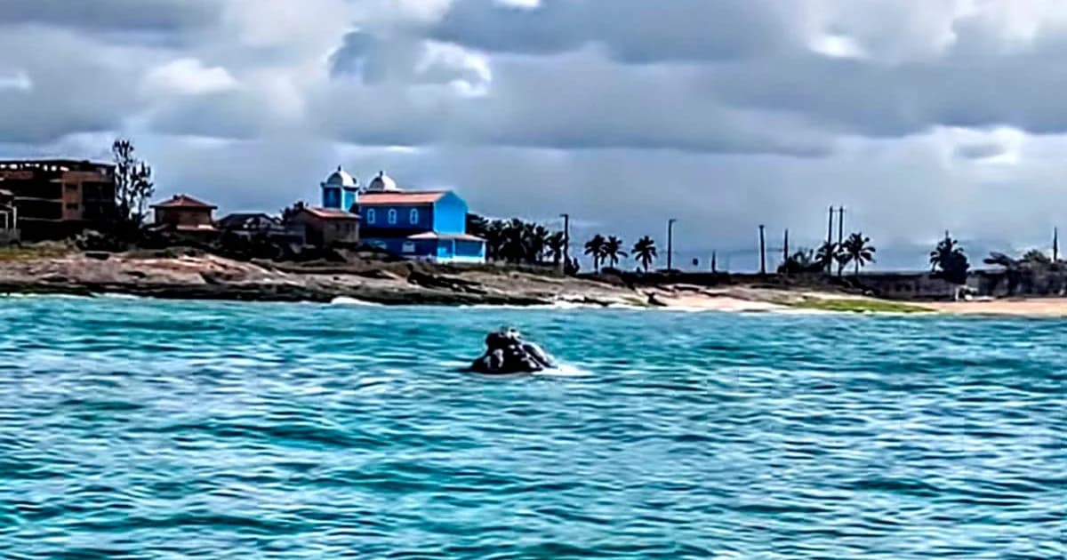 Guarda-vidas Evitam Tragédia Marinha em Marataízes