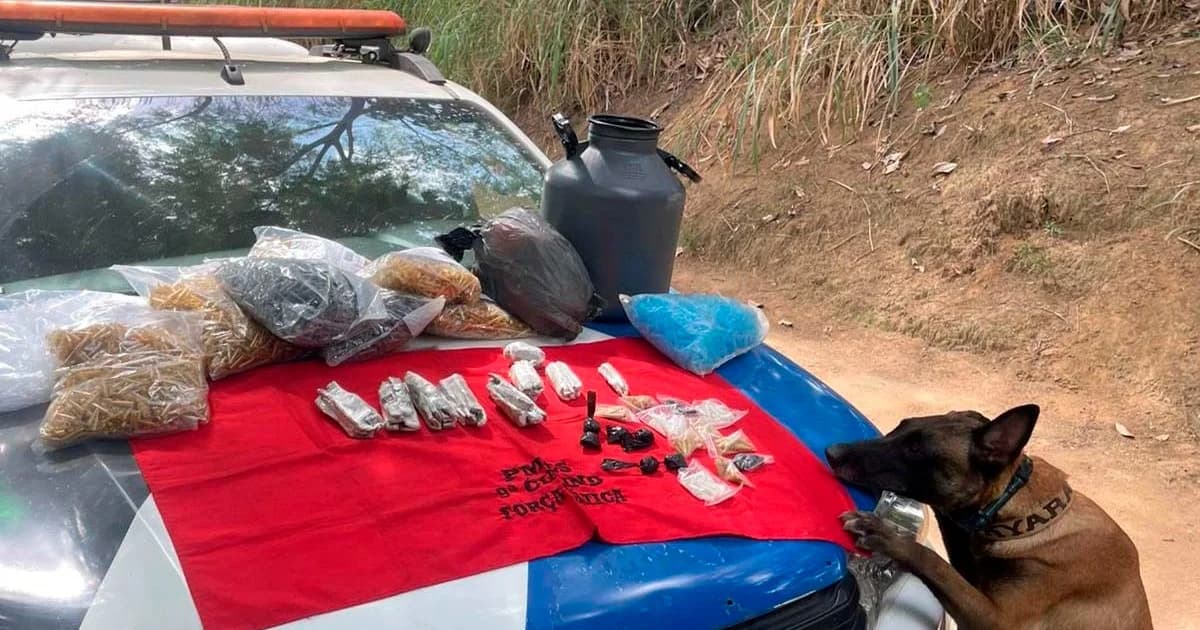 Cão farejador ajuda PM a apreender drogas em Graúna, localidade de Itapemirim