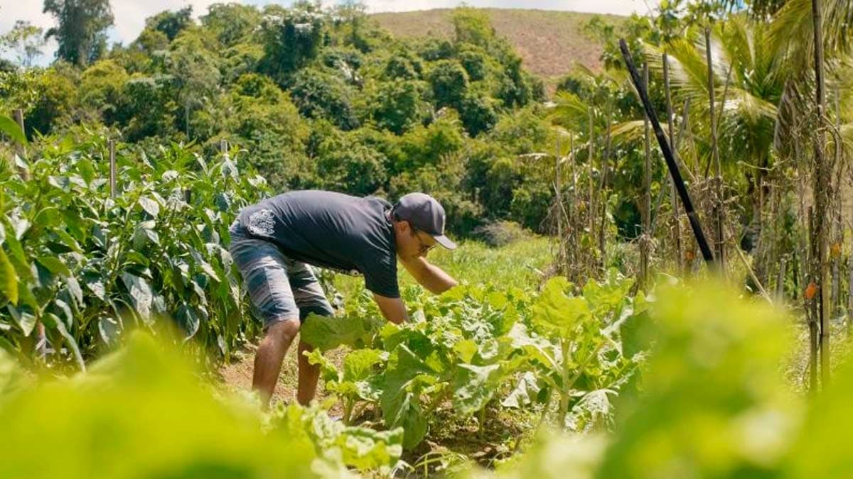Presidente Kennedy Abre Chamamento para Compra Direta de Alimentos Locais