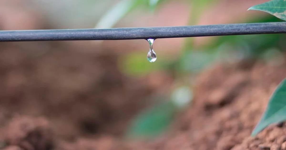 Inverno 2026: Espírito Santo antecipa calor e umidade com alerta para o campo