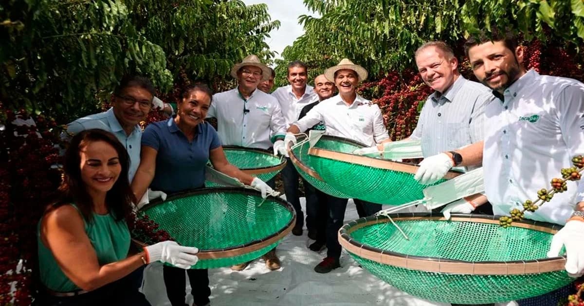 Café Conilon Capixaba Inicia Safra com Foco em Qualidade e Expansão Global