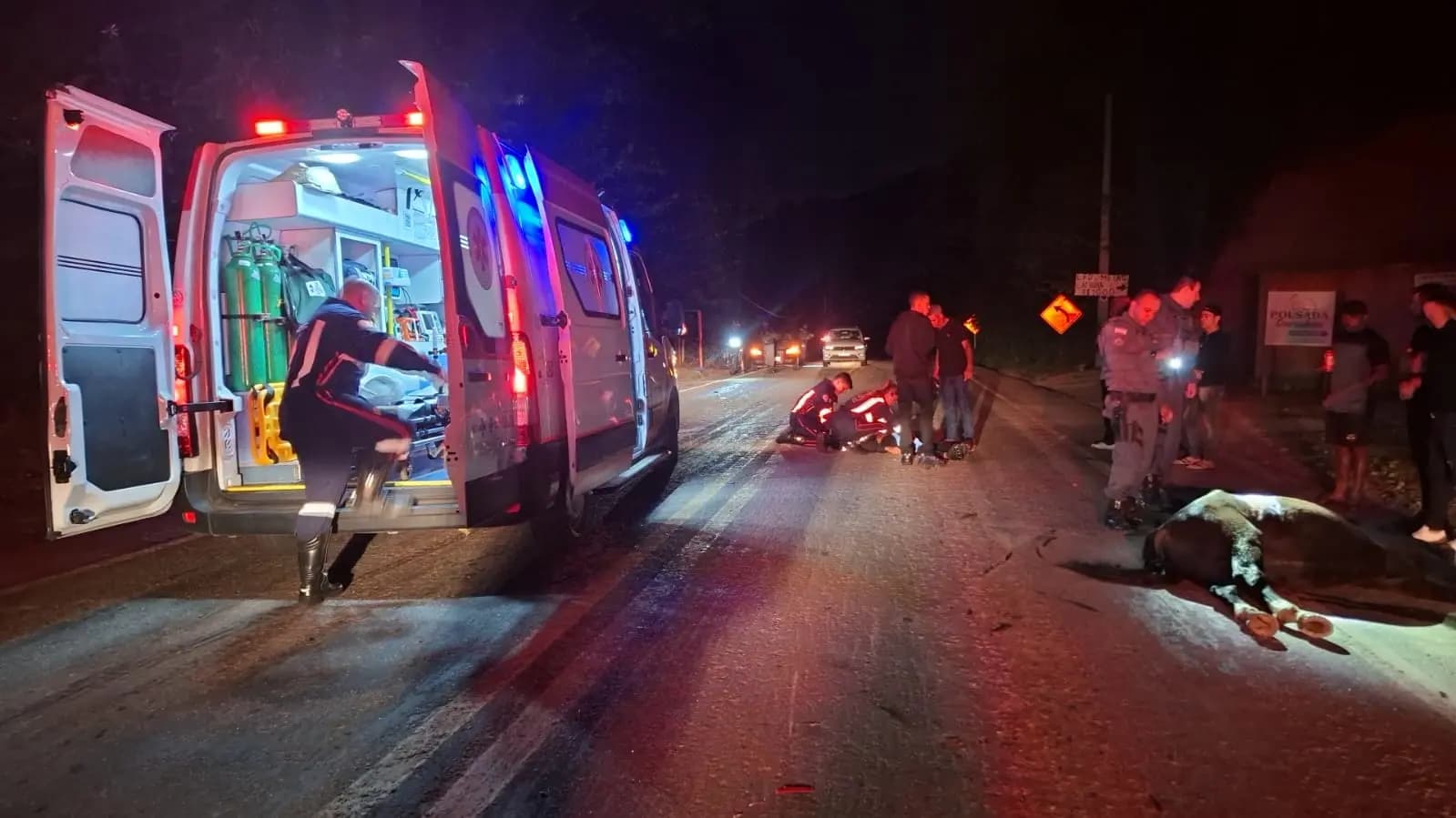 Motociclista em Estado Crítico Após Colisão com Animal na BR-482