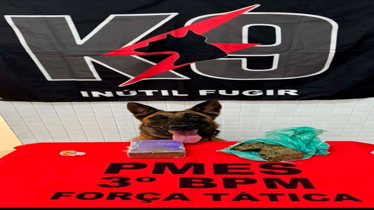 K9 da Polícia Militar apreende drogas enterradas em área de mata em Jerônimo Monteiro