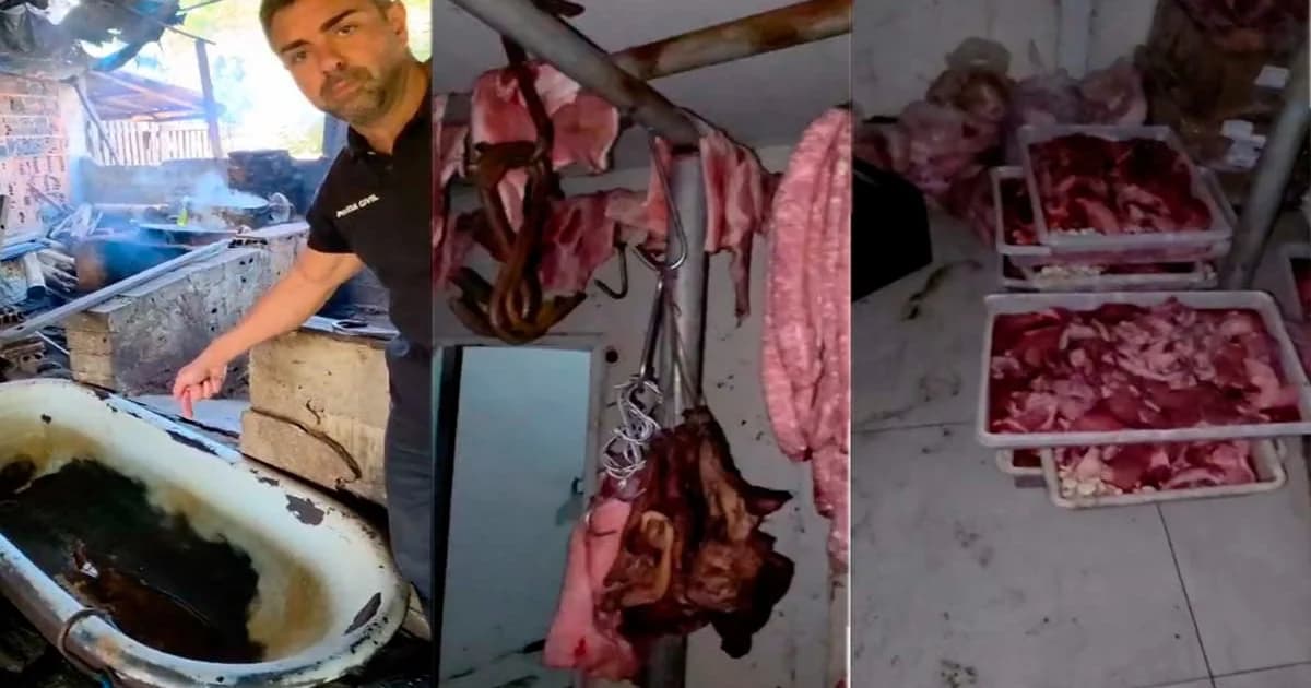 Abatedouro Clandestino Descoberto em Cariacica