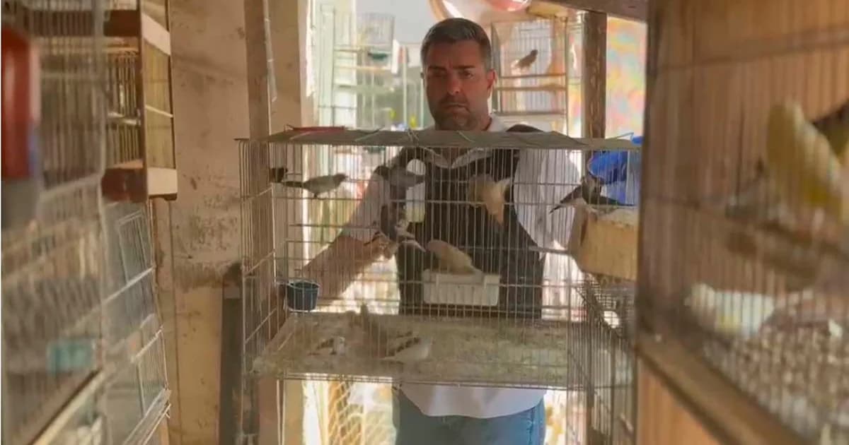 Mais de 250 Animais Resgatados de Criadouro Clandestino em Condições Degradantes
