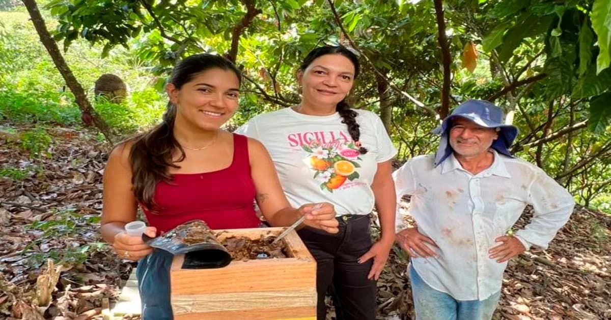 Alegre Inova com Abelhas Nativas e Mata Atlântica