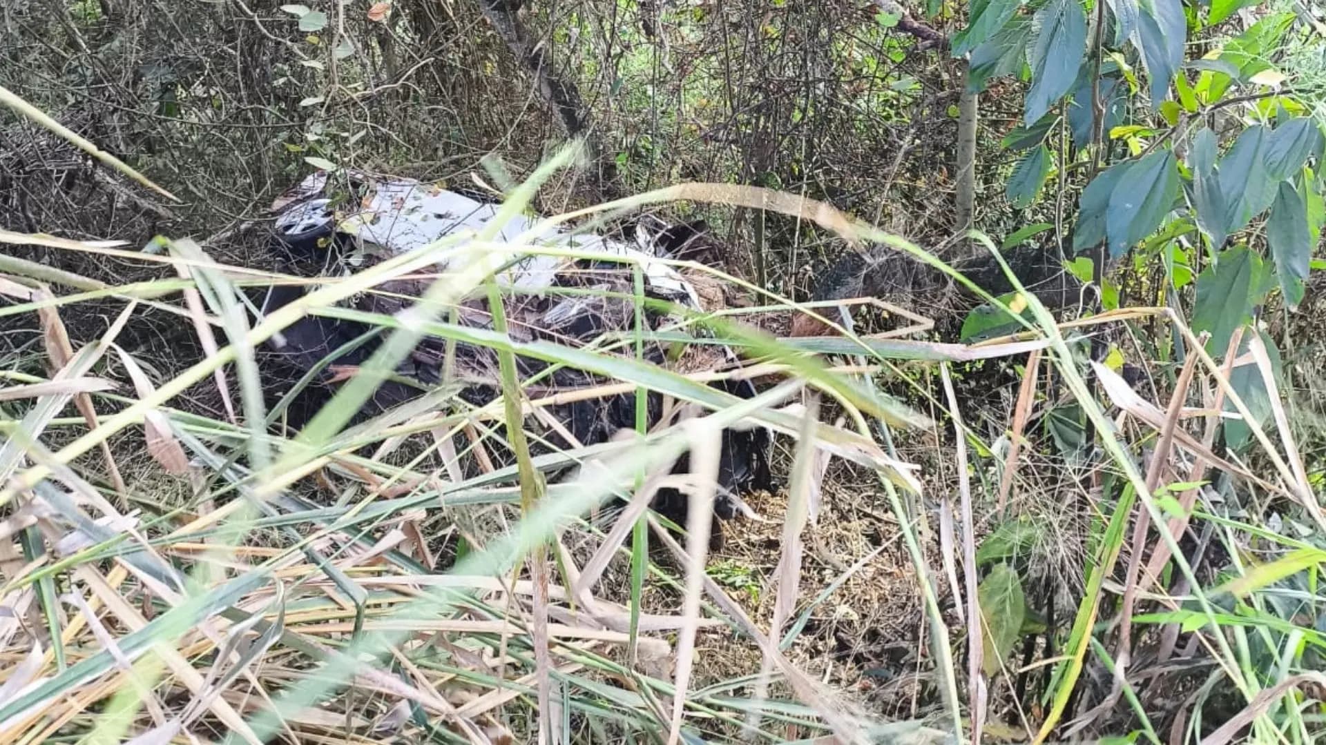 Tragédia na BR 262: Jovem Perde a Vida em Acidente Fatal