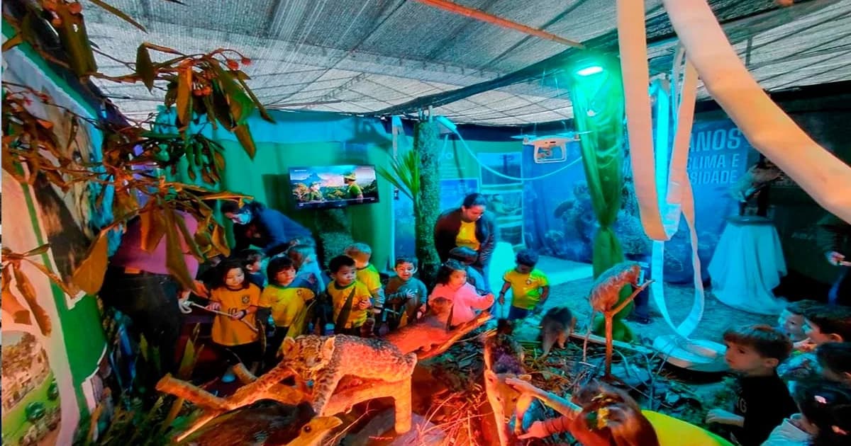 Ecotrilha Sensorial Encanta Milhares e Promove Consciência Ecológica