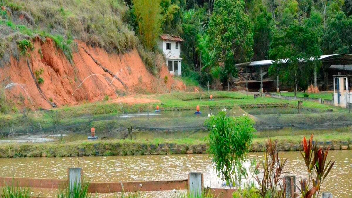 Muniz Freire Potencializa Setor Pesqueiro com Treinamento