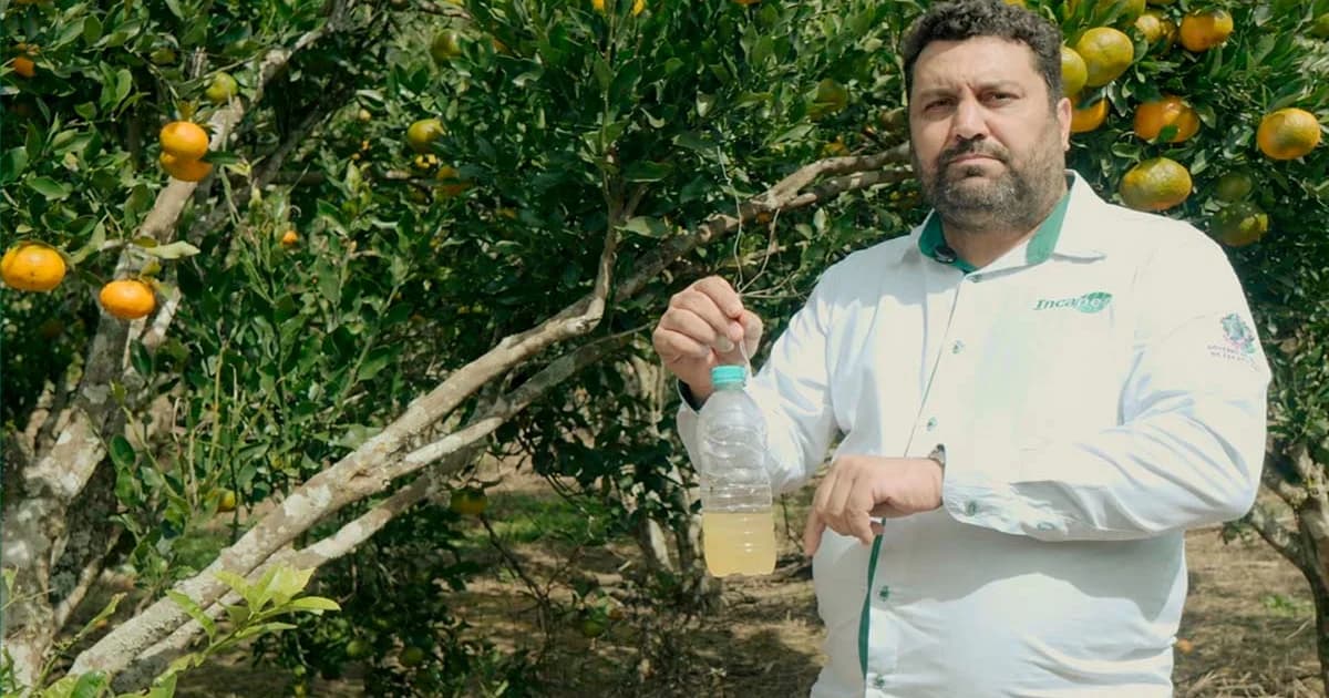 Tecnologia Caseira Combate Mosca-das-Frutas no Espírito Santo