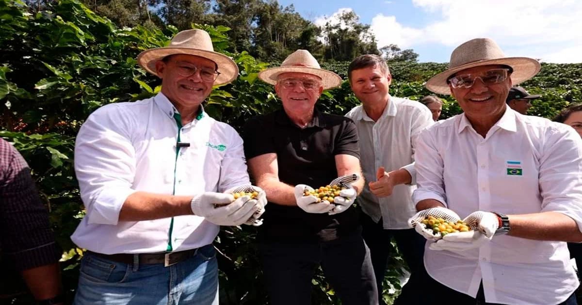 Espírito Santo Inicia Colheita de Café Arábica com Expectativa de Recorde