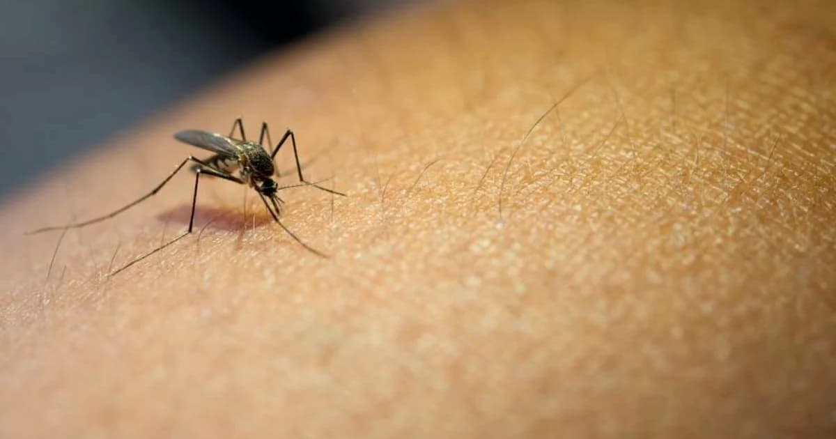 Dengue: Diagnóstico Laboratorial Ampliado na Rede de Saúde Municipal